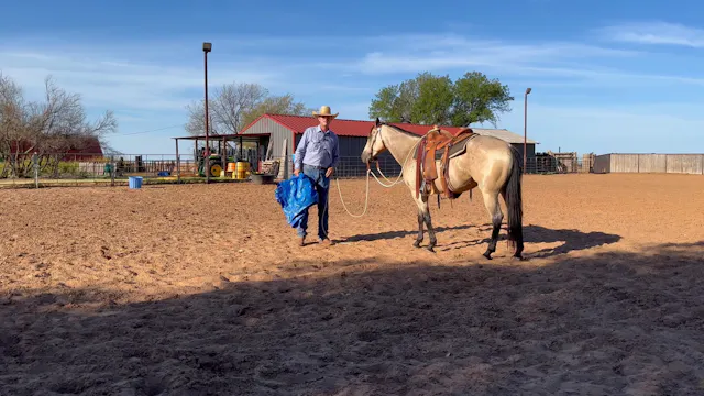 Tarp work