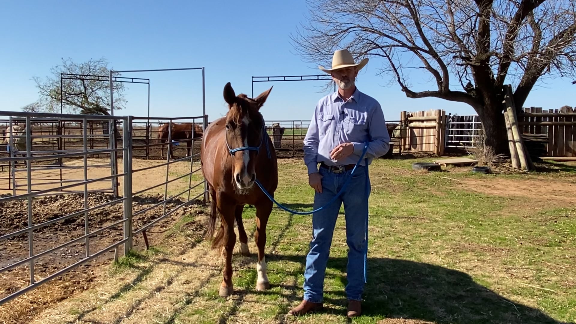 Tips with a rope halter