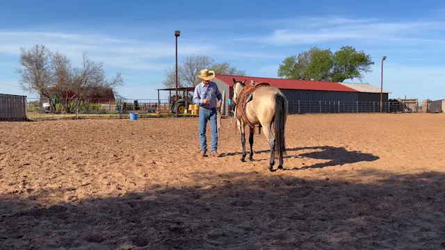 Getting on from the fence
