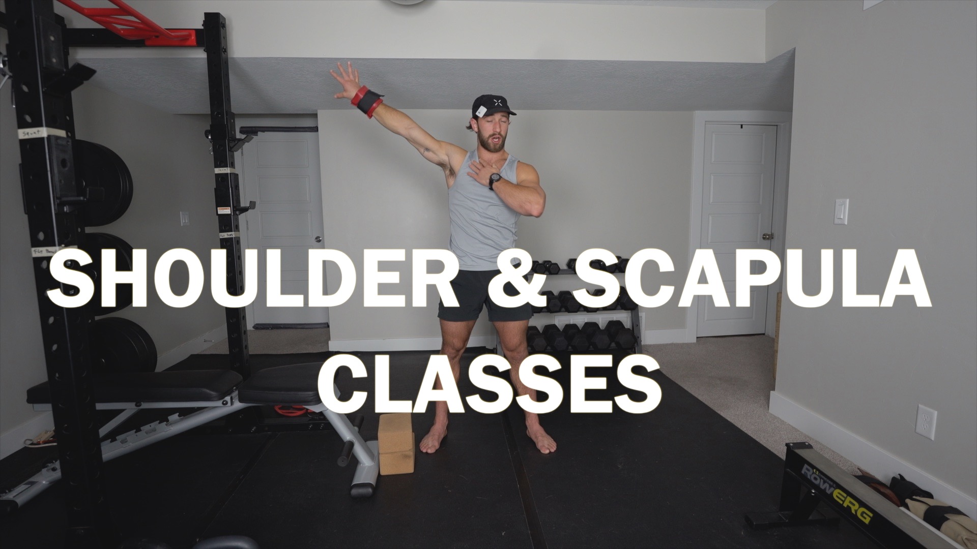 Shoulder & Scapula Classes