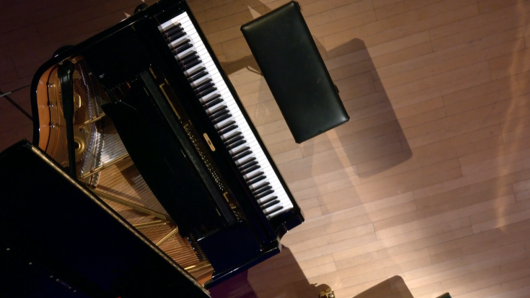 Raphael Vilani: like…