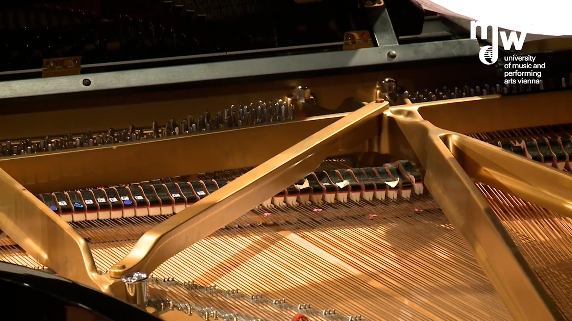 Yu-Ping Lin: Les Jardins