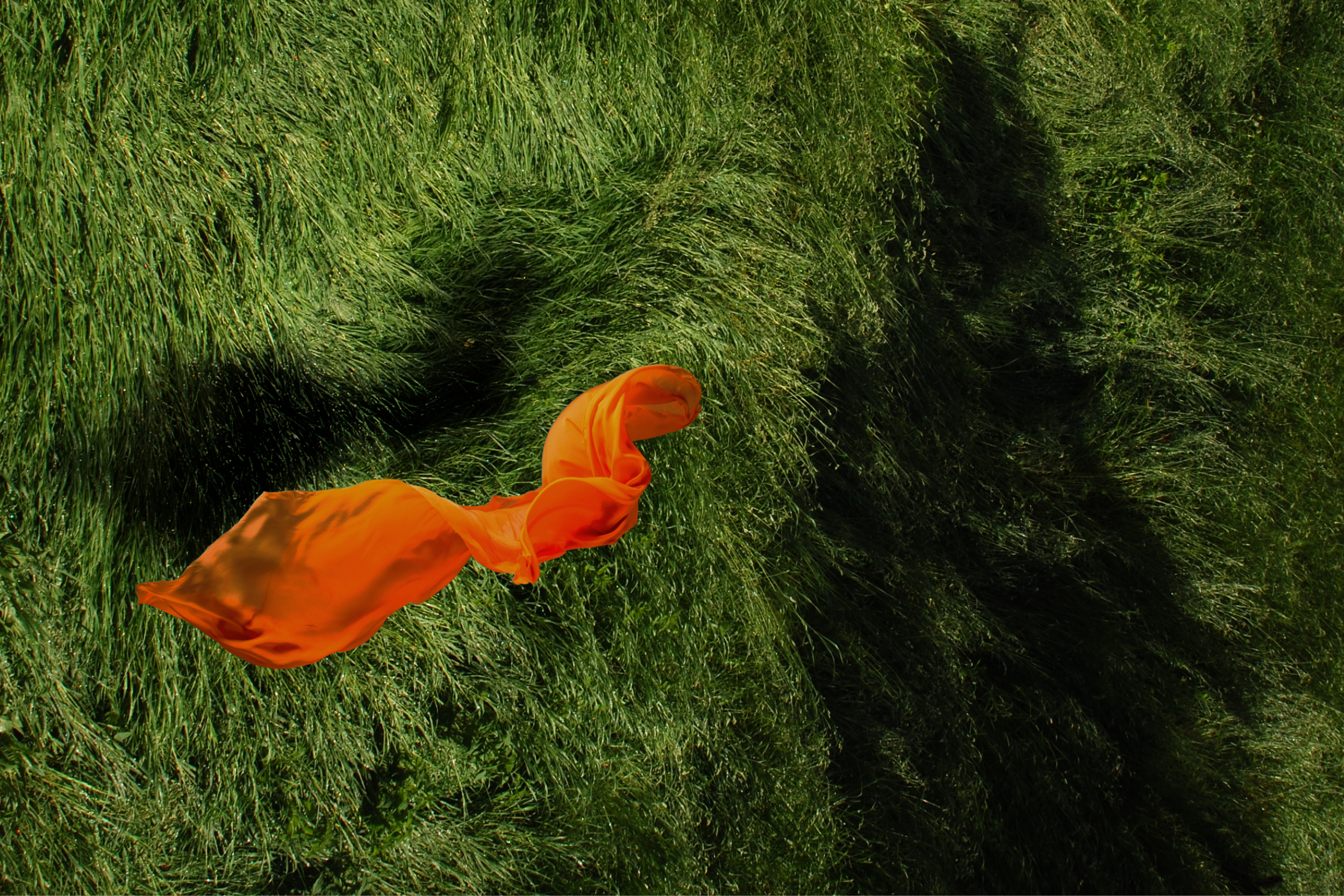 Otto Nicolai: Die lustigen Weiber von Windsor (15. März 2024)