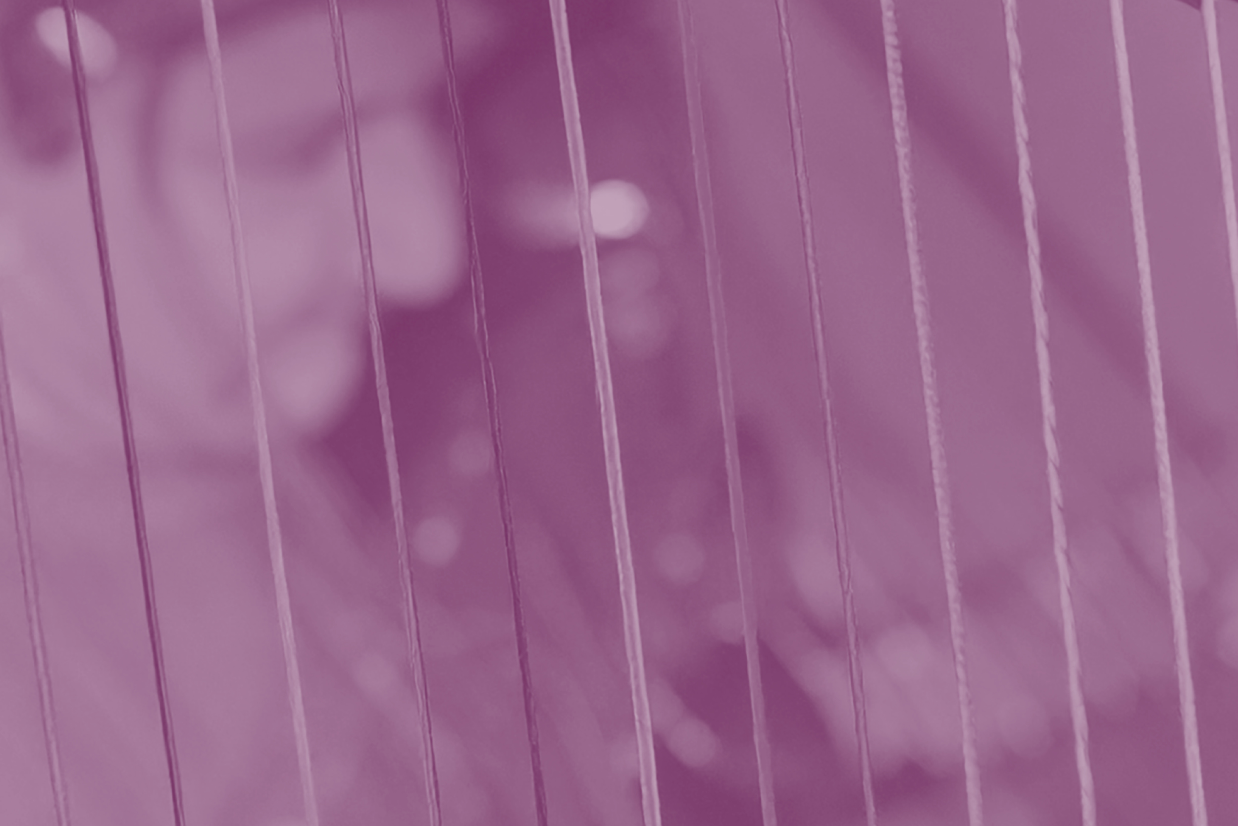 Internationaler Reinl-Harfenwettbewerb 2025 (26.9.2025)