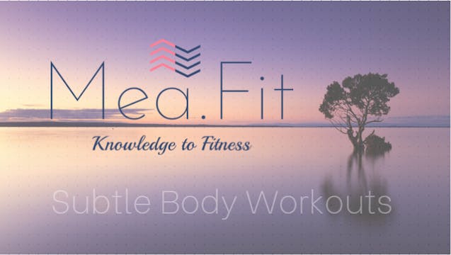 Mea.Fit Subtle Body Workouts