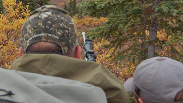 S7-E15: Fortymile Caribou: Part 2