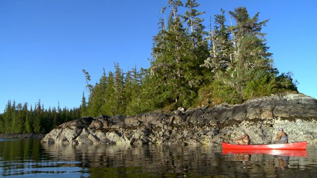 S5-E16: Up at the Cabin: Prince of Wales Black Bear With Paul Neess