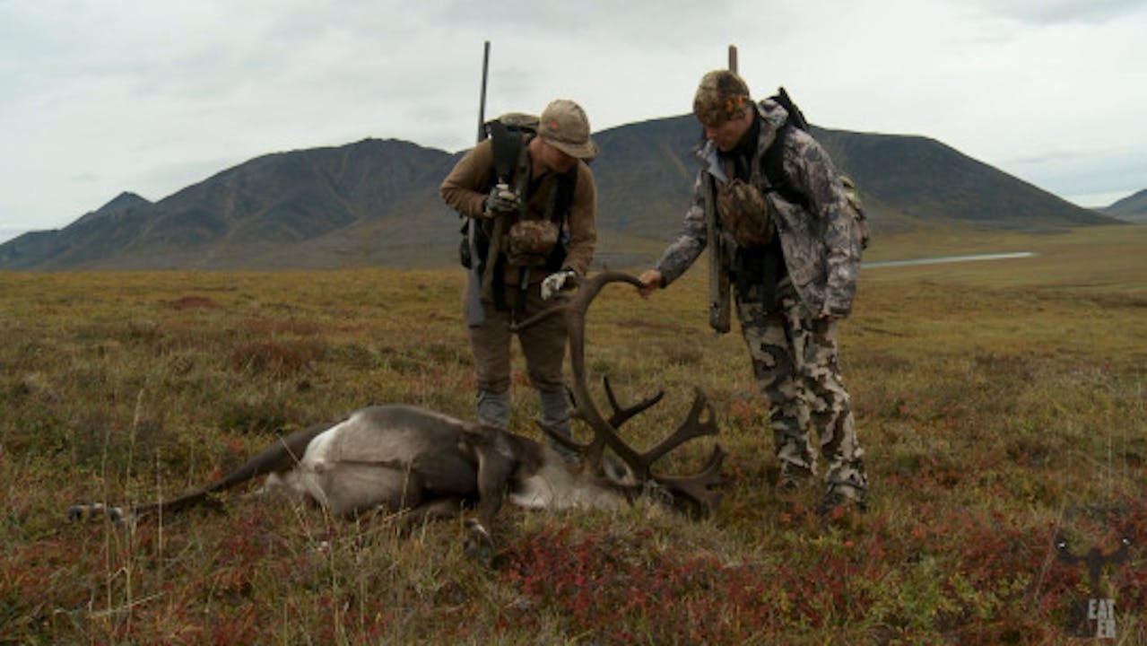 S2-E09: True North: Alaska North Slope Caribou
