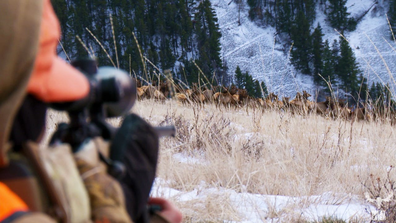 S5-E08: About Time: Helen and Brittany Montana Elk