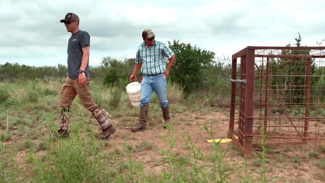 S6-E14: Lone Star Pork: Texas Hog