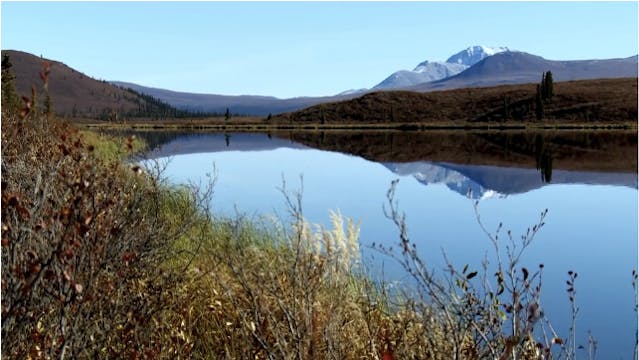 S5-E01/02: Yukon Giants: Northern Alaska Moose Parts 1 & 2