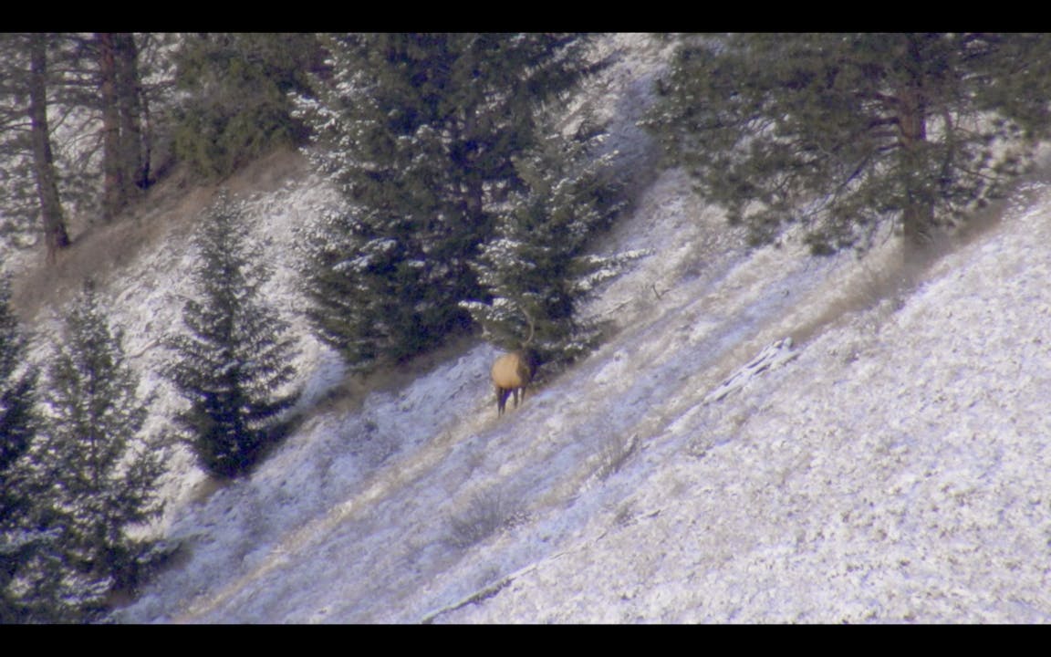 S7E08 Remi And Steve, Elk Hunting Again MeatEater TV