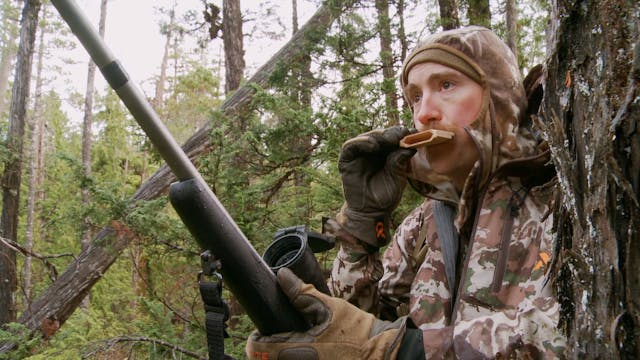 S7-E07: Prince of Wales: Sitka Blacktail Deer Part 2