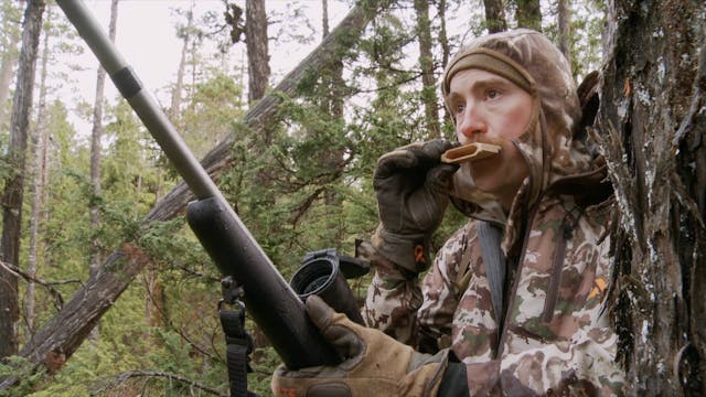 S7-E07: Prince of Wales: Sitka Blacktail Deer Pt 2