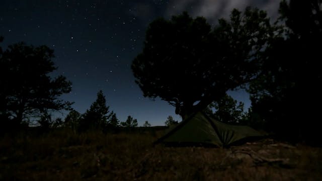 S4-E15: Gila Monster: New Mexico Bull Elk