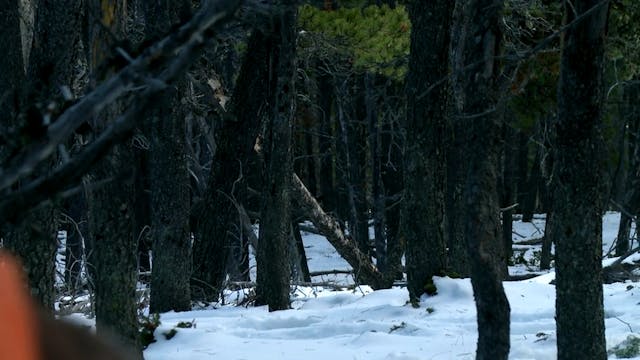 S5-E08: About Time: Helen and Brittany Elk Hunt in Montana