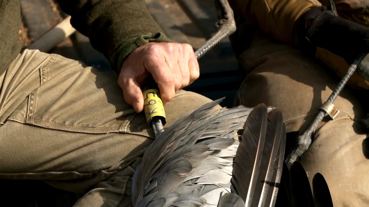 S5E10 Ribeye of the Sky Sandhill Cranes in West Texas MeatEater