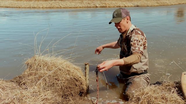 S6-E12: Trapped in History, Wyoming Beaver