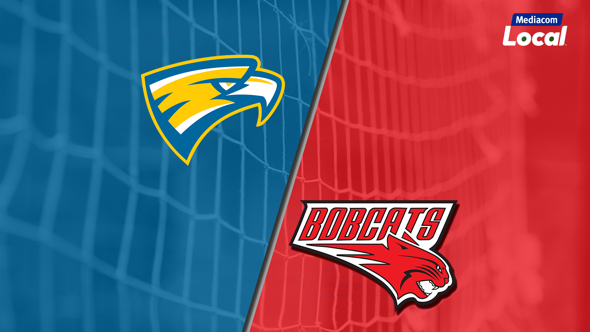IA HSVB Wahlert vs Western Dubuque