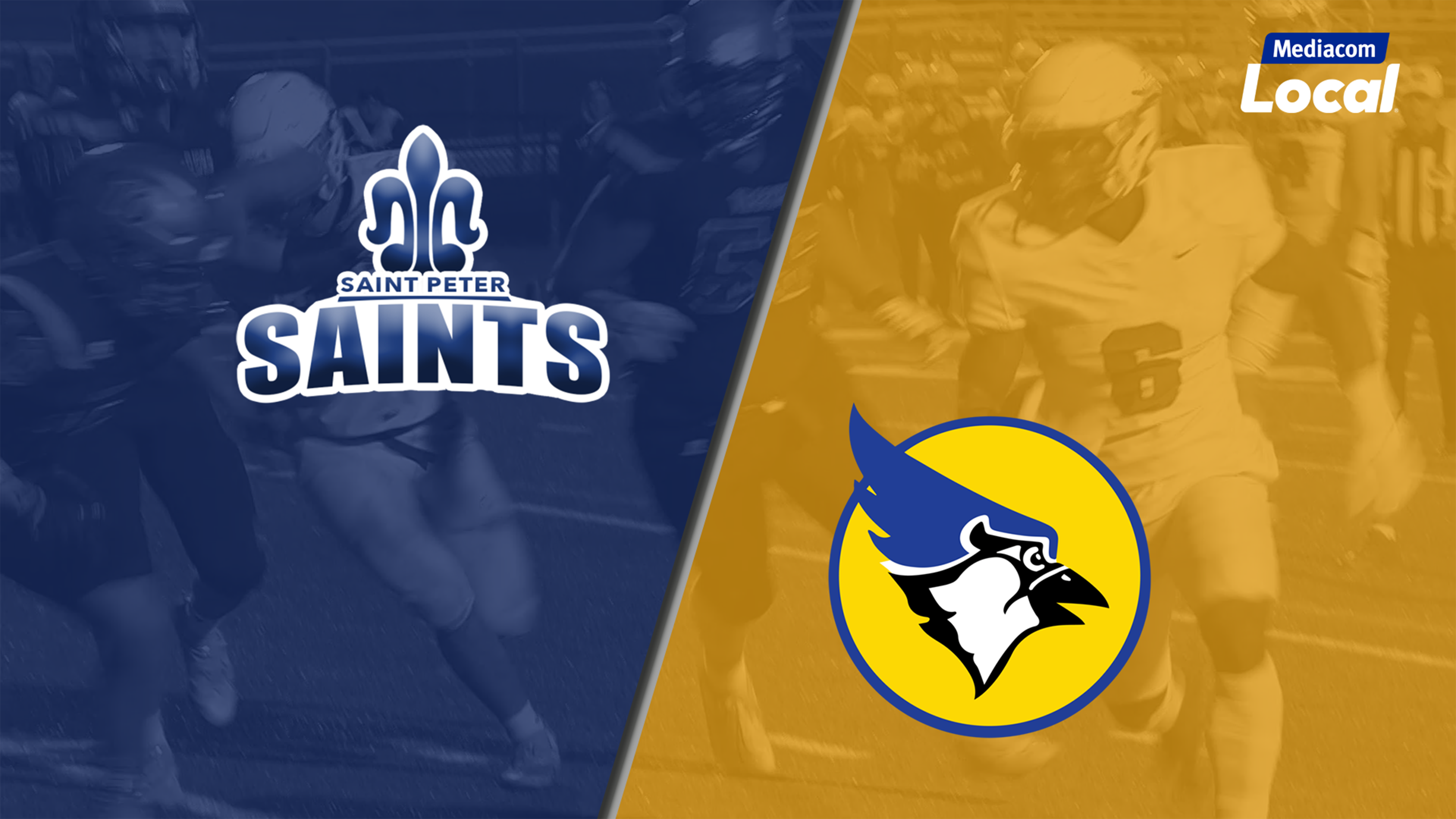 MN HSFB St Peter vs Waseca