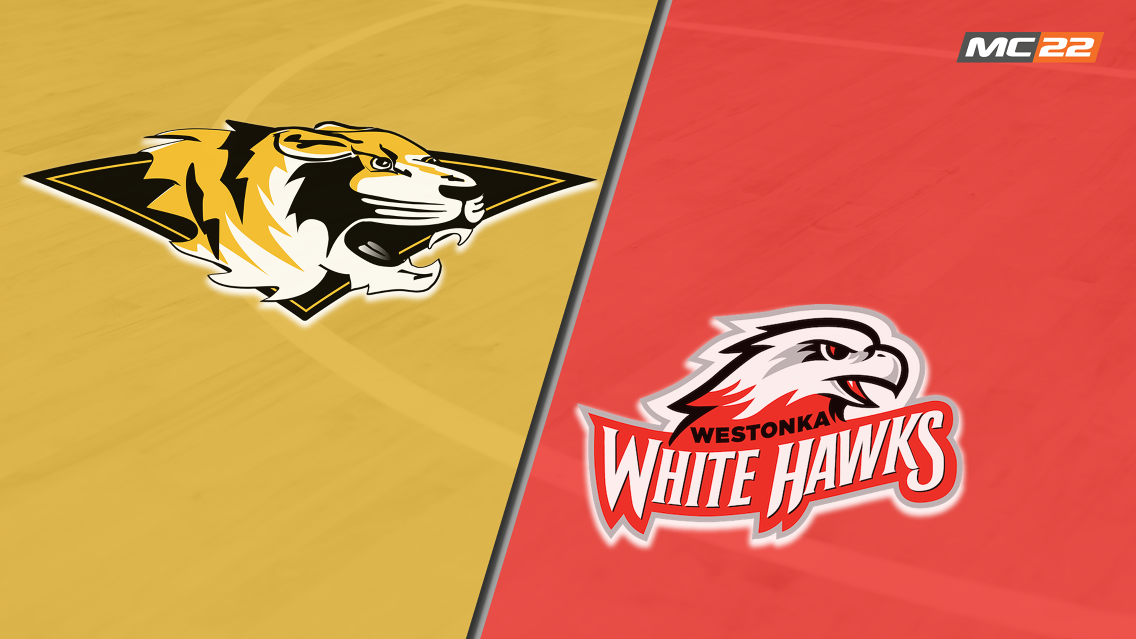 MN HSGBB Hutchinson vs Mound Westonka