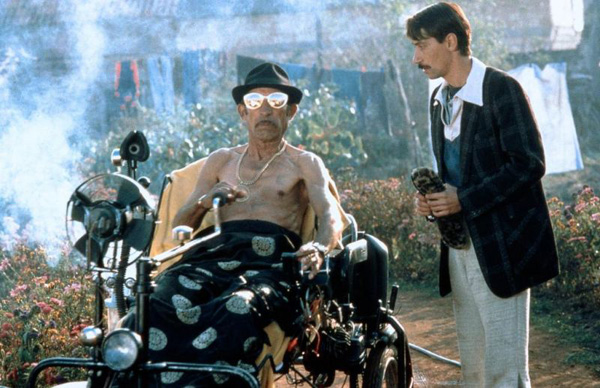 Crna macka beli macor