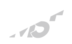 MS PLUS