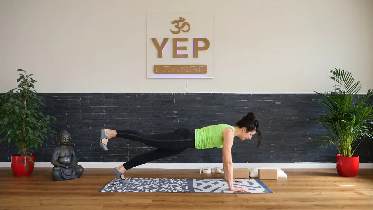 Vinyasa Yoga 5
