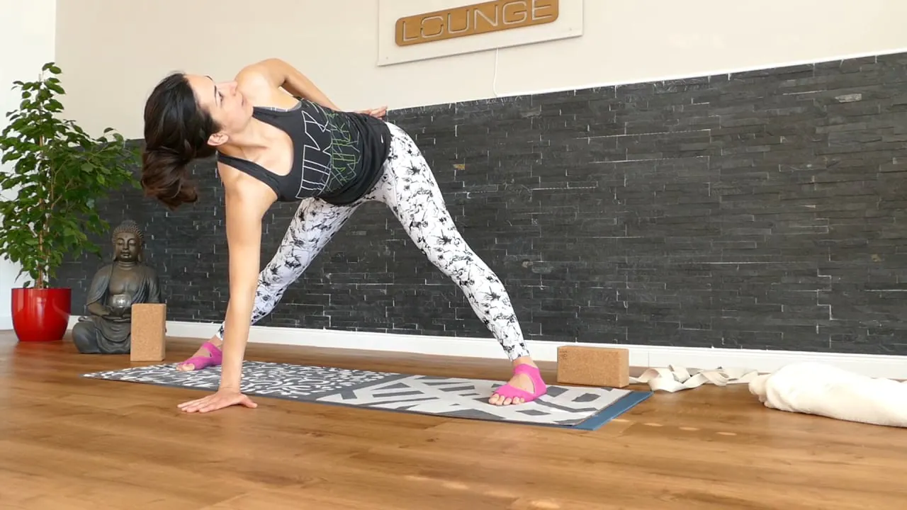 Vinyasa Yoga 4