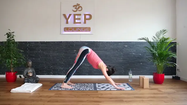 Vinyasa Yoga 2
