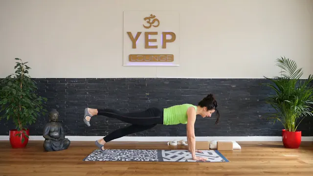 Vinyasa Yoga 5