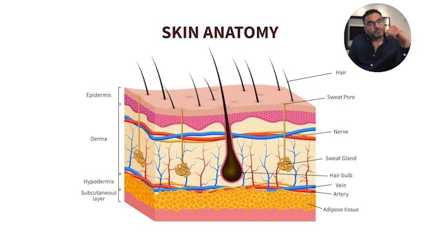 002 Anatomy & Applied Anatomy