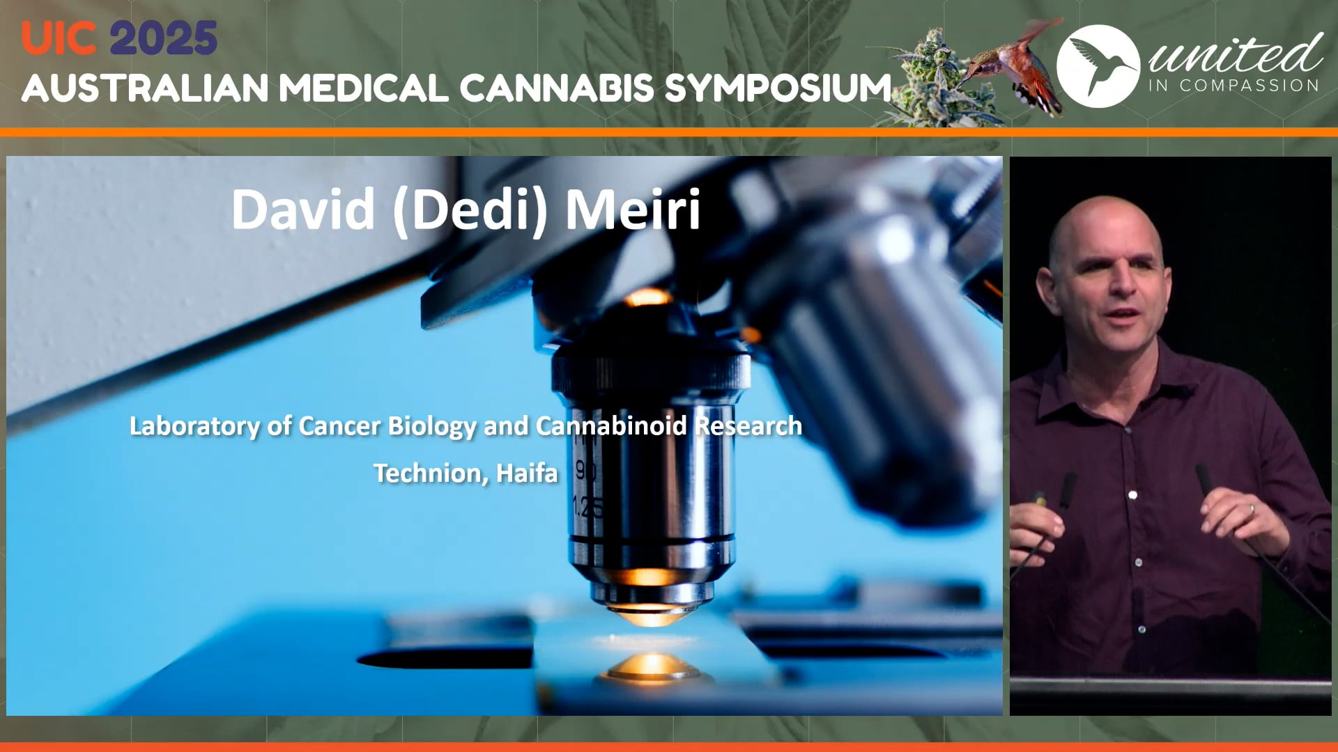 Small Molecules with Big Potential Major and Minor Cannabinoids at the Frontier of the Cancer Battle Prof Dedi Meiri