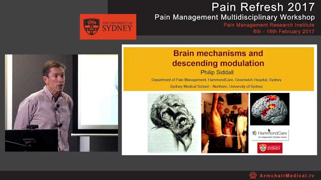 Brain mechanisms and descending modul...