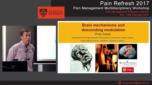 Brain mechanisms and descending modulation Professor Philip Siddall