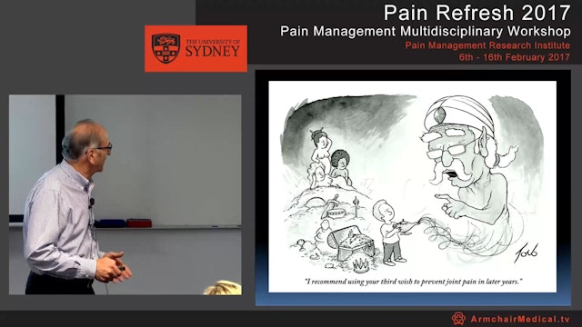 Overview of musculoskeletal pain Professor Milton Cohen