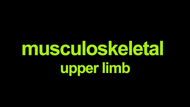Musculoskeletal - upper limb