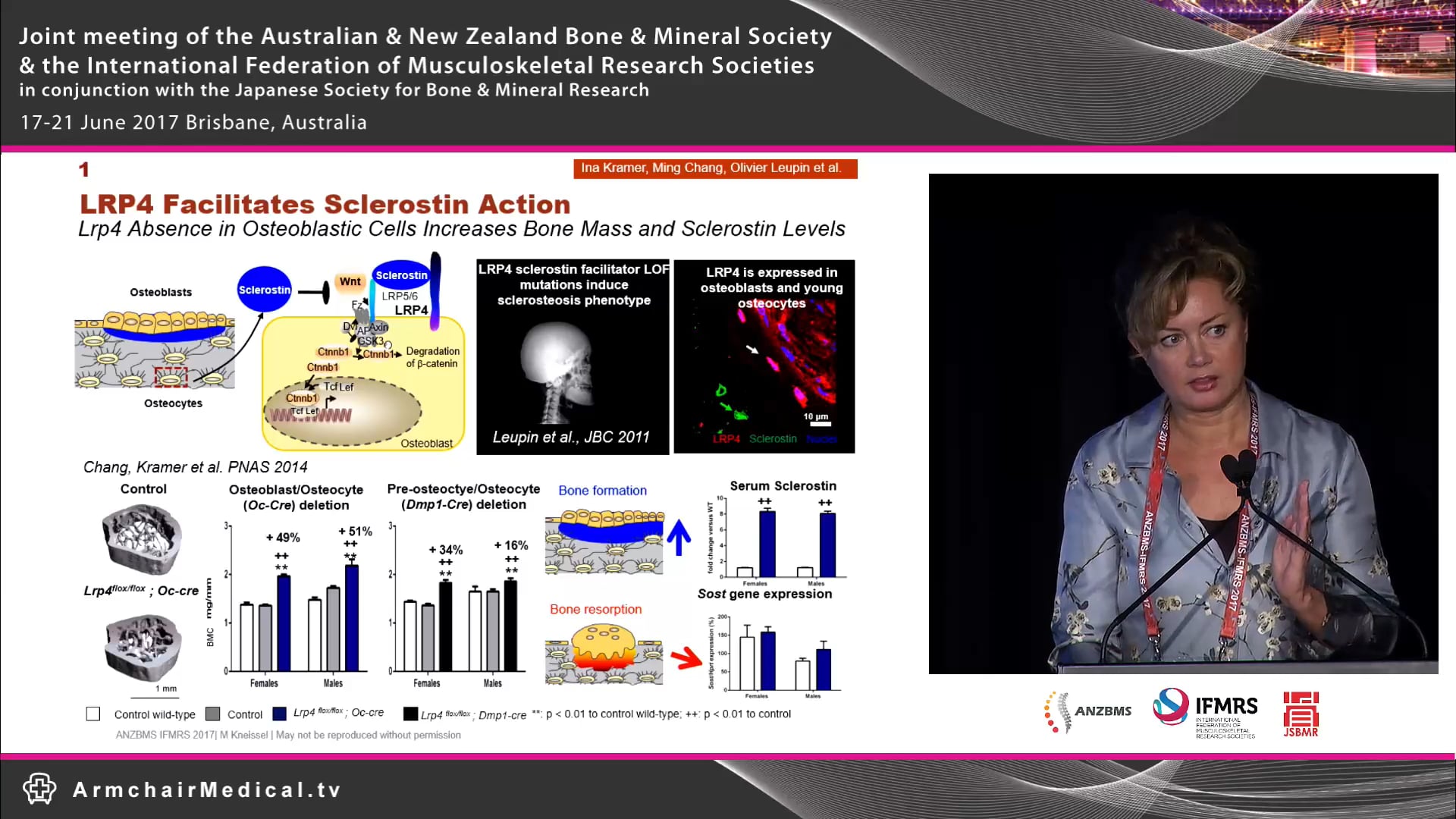Muscle bone interactions Dr Michaela Kneissel