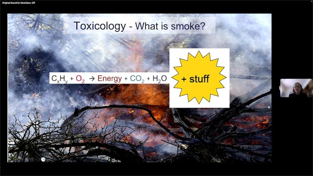 Bushfire and wood smoke air pollution...