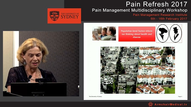 The Epidemiology of pain Professor Fiona Blyth