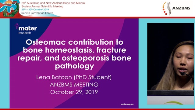 Osteal macrophage contributions to bone homeostasis fracture repair and osteoporosis bone pathology Lena Batoon