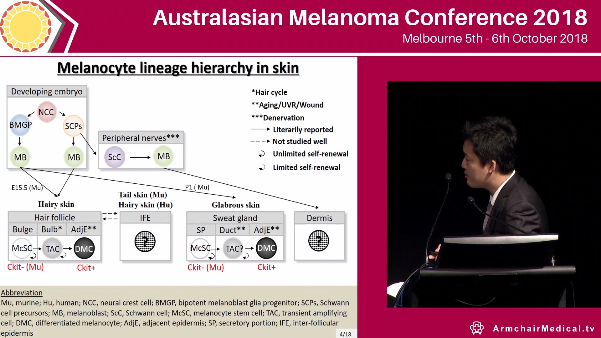 Dissection of melanocytic subpopulations Fumihito Noguchi
