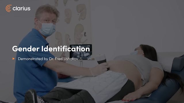 Gender Identification - Ultrasound Sc...