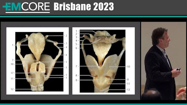 Laryngeal fractures A Prof Luke Lawton