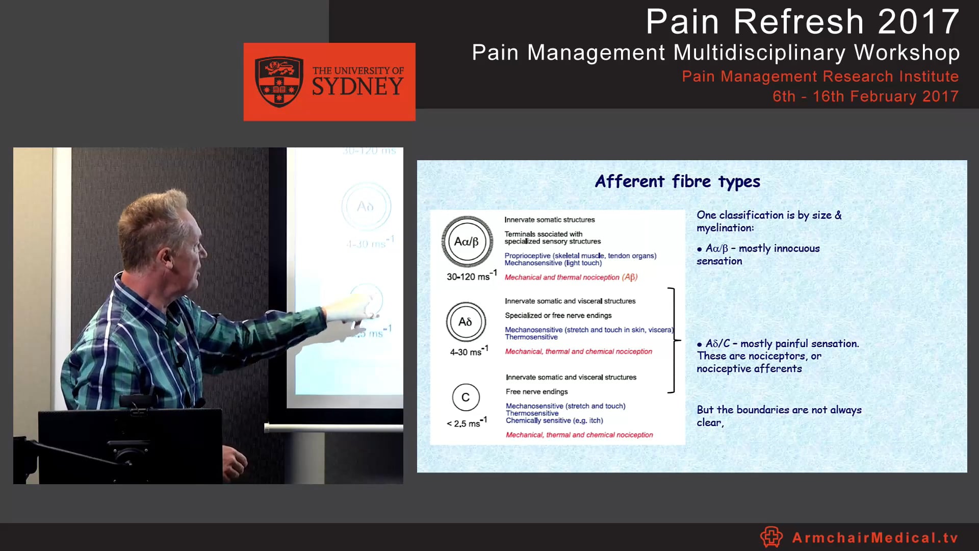 Peripheral mechanisms - pain & analgesia Dr Chris Vaughan