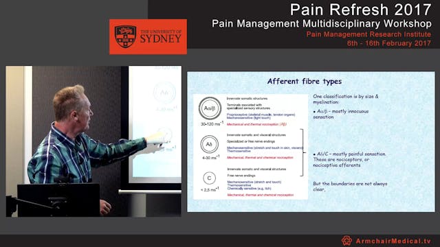 Peripheral mechanisms - pain & analge...