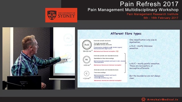 Peripheral mechanisms - pain & analgesia Dr Chris Vaughan