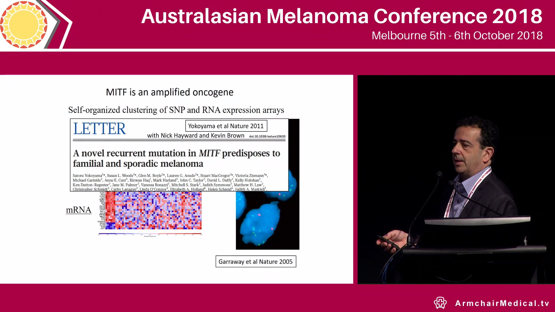 Insights into melanocyte development David Erich Fisher