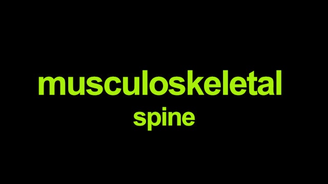 Musculoskeletal - spine