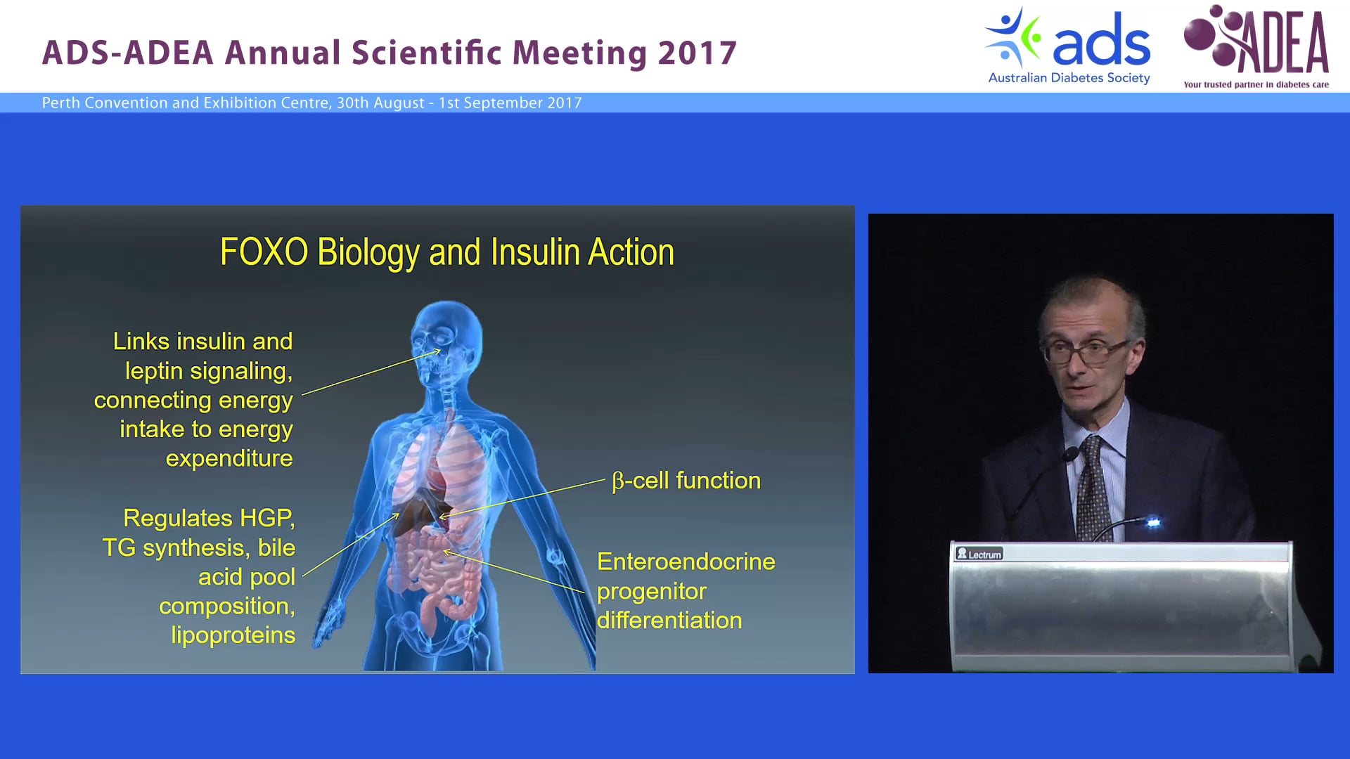 The new biology of diabetes Domenico Accili